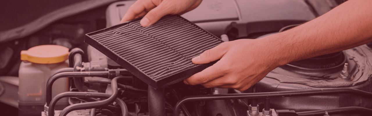 Polen Filtresi Nedir, Ne İşe Yarar?